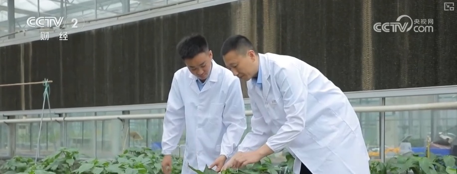 产学研融合高校科研“接地气” 打破学科壁垒为毕业生开拓全新职业蓝海