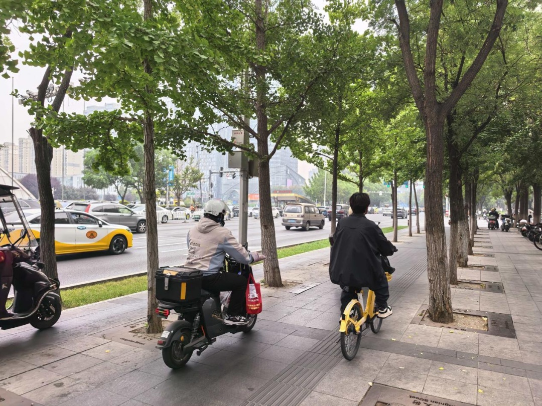 出现-10.2℃！中雨、大风、降温……辽宁本周天气→