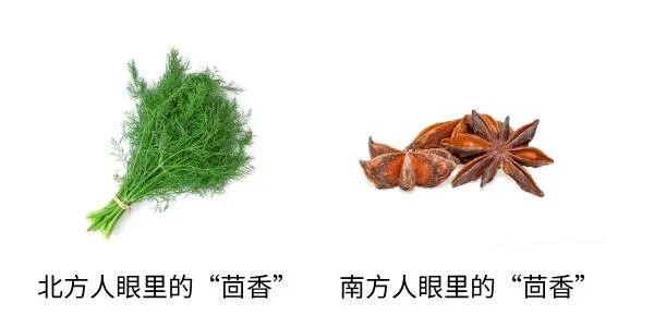 这种“胳肢窝味儿”的奇怪蔬菜，含钙量竟然比牛奶还高！只有北方人知道……