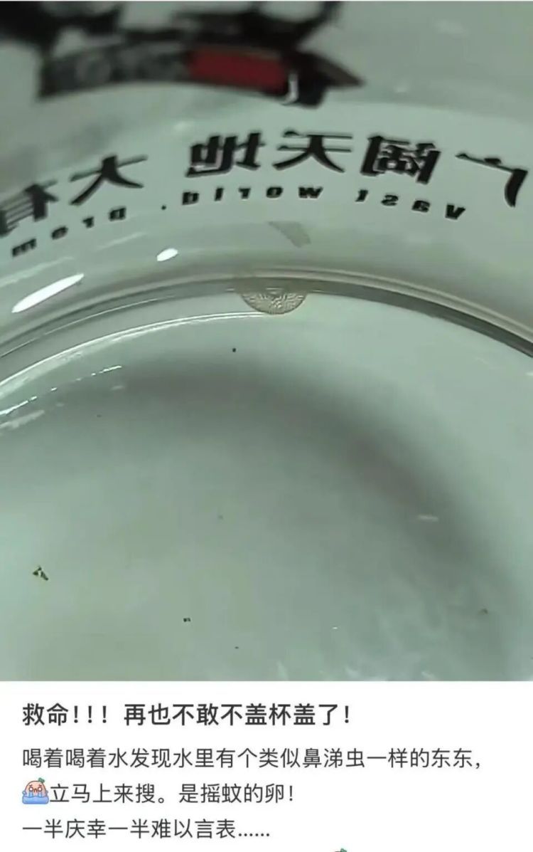 头皮发麻！女子早起发现隔夜水中漂浮着一串透明白色物体，网友：是虫卵