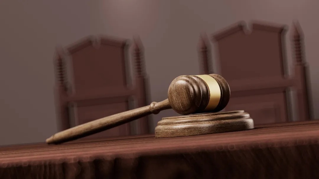 现实版“白眼狼”？儿子伙同两人驾车撞死母亲骗保，事前曾告诉父亲，法院判了→