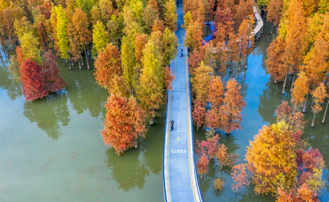 秋天真的变短了吗?数据说话! 秋天真的变短了吗?数据说话!