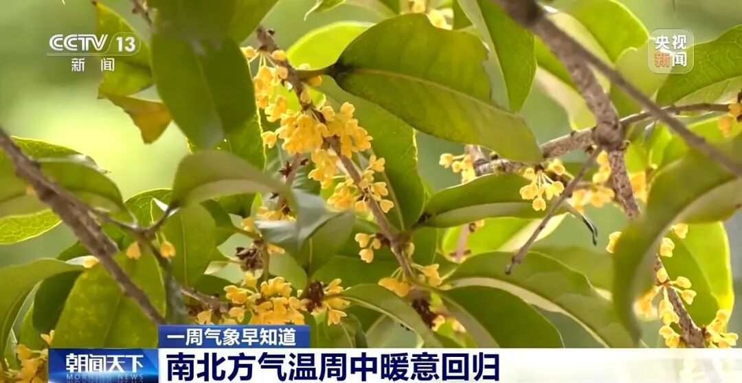 暴雪、大雪、暴雨,要来了! 暴雪、大雪、暴雨,要来了!