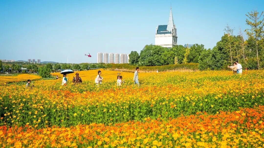 马上过节,武汉多景区免票 马上过节,武汉多景区免票