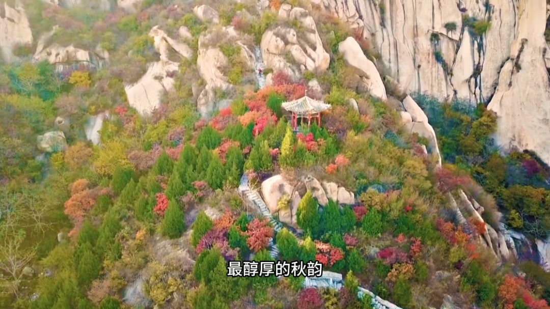 红了!黄了!错过这个节点——真没了! 红了!黄了!错过这个节点——真没了!