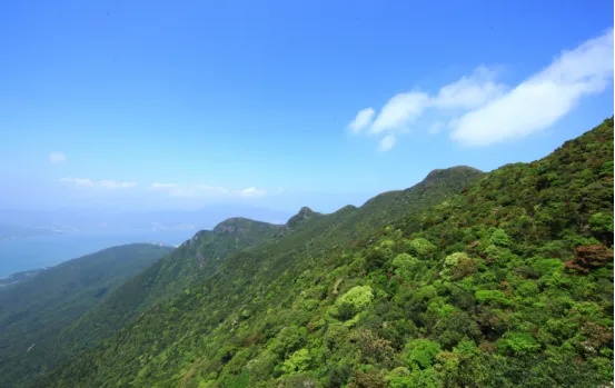 80天3人遇难!深圳一国家地质自然公园紧急提醒 80天3人遇难!深圳一国家地质自然公园紧急提醒