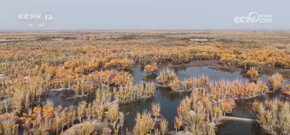 各地迎来秋日“限定版”美景 “文旅+”新场景新业态激发“赏秋经济”活力 各地迎来秋日“限定版”美景 “文旅+”新场景新业态激发“赏秋经济”活力