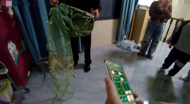 甘女士深夜来电:“我家有个毛茸茸的东西,不敢动!” 甘女士深夜来电:“我家有个毛茸茸的东西,不敢动!”