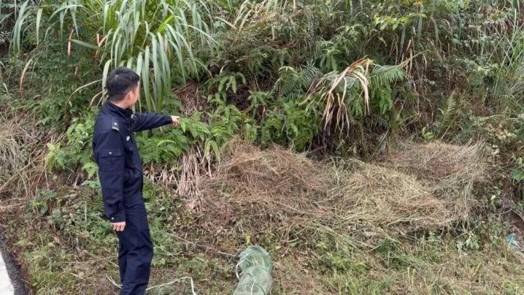 甘女士深夜来电:“我家有个毛茸茸的东西,不敢动!” 甘女士深夜来电:“我家有个毛茸茸的东西,不敢动!”