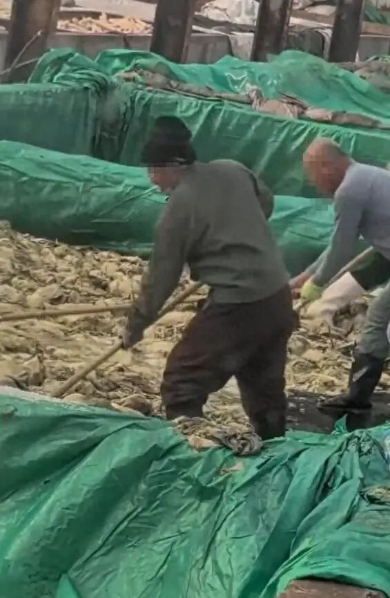 男子在酸菜池中抽烟并吐痰,辽宁兴城通报:将严惩绝不姑息! 男子在酸菜池中抽烟并吐痰,辽宁兴城通报:将严惩绝不姑息!