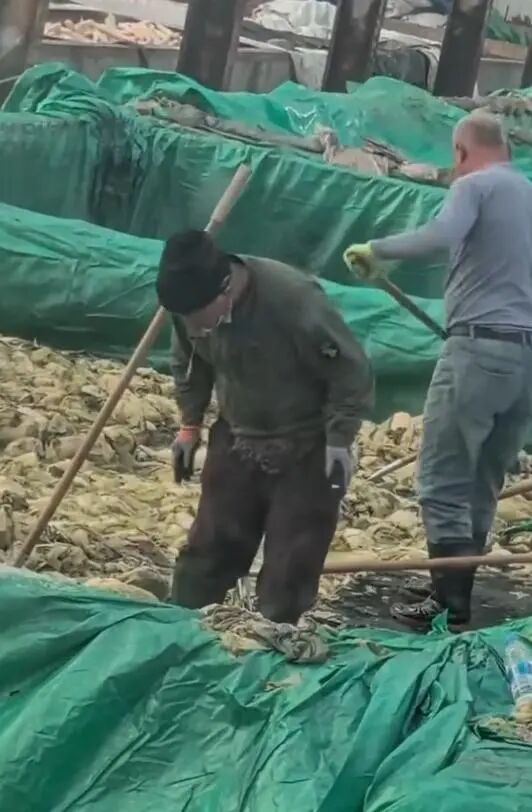 男子在酸菜池中抽烟并吐痰,辽宁兴城通报:将严惩绝不姑息! 男子在酸菜池中抽烟并吐痰,辽宁兴城通报:将严惩绝不姑息!