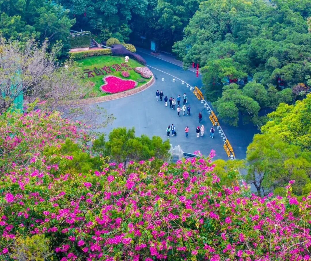 明天过节!广州多个景区发布公告 明天过节!广州多个景区发布公告