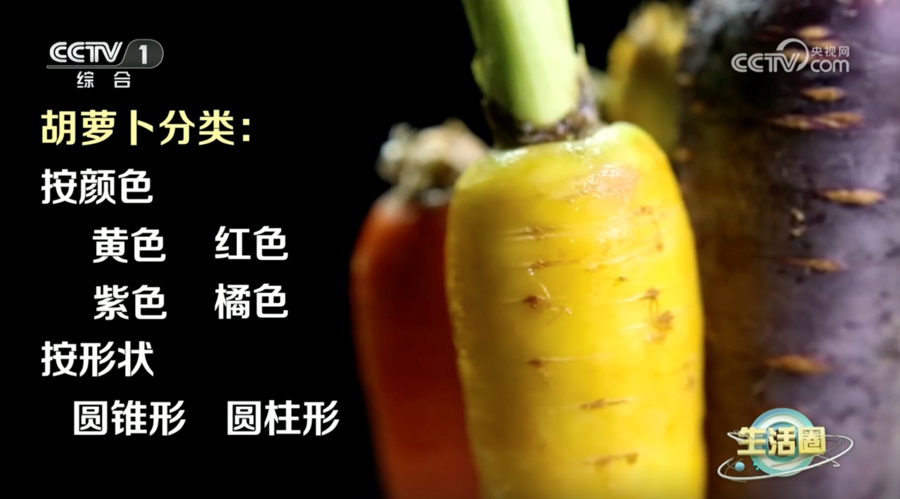 降低癌症发病风险、防治心血管疾病……常吃这种食物好处多多 降低癌症发病风险、防治心血管疾病……常吃这种食物好处多多