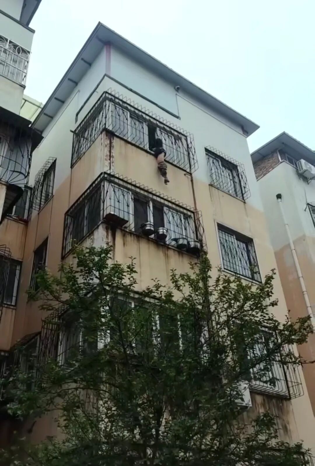 徒手爬上四楼！他说“当时啥也没想，我也有孩子”