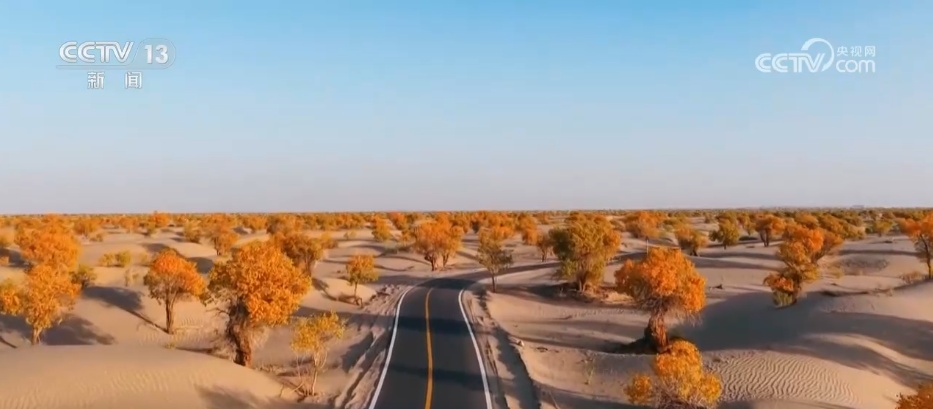 各地迎来秋日“限定版”美景 “文旅+”新场景新业态激发“赏秋经济”活力 各地迎来秋日“限定版”美景 “文旅+”新场景新业态激发“赏秋经济”活力