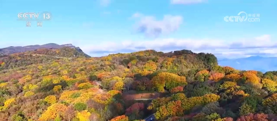 各地迎来秋日“限定版”美景 “文旅+”新场景新业态激发“赏秋经济”活力 各地迎来秋日“限定版”美景 “文旅+”新场景新业态激发“赏秋经济”活力