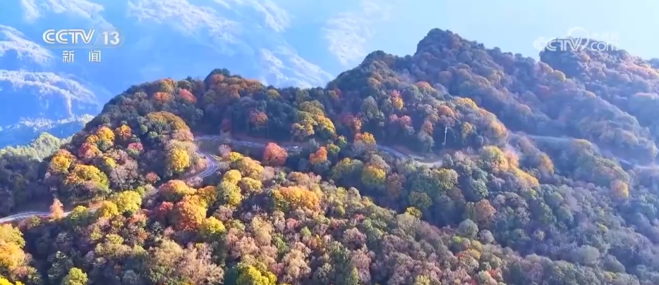 各地迎来秋日“限定版”美景 “文旅+”新场景新业态激发“赏秋经济”活力 各地迎来秋日“限定版”美景 “文旅+”新场景新业态激发“赏秋经济”活力