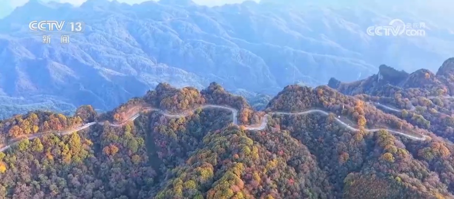 各地迎来秋日“限定版”美景 “文旅+”新场景新业态激发“赏秋经济”活力 各地迎来秋日“限定版”美景 “文旅+”新场景新业态激发“赏秋经济”活力