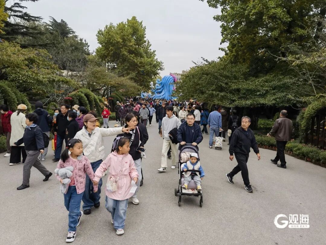 中山公园这一幕火了！“人海花浪”直接刷爆朋友圈！不少老青岛人都坐不住了……