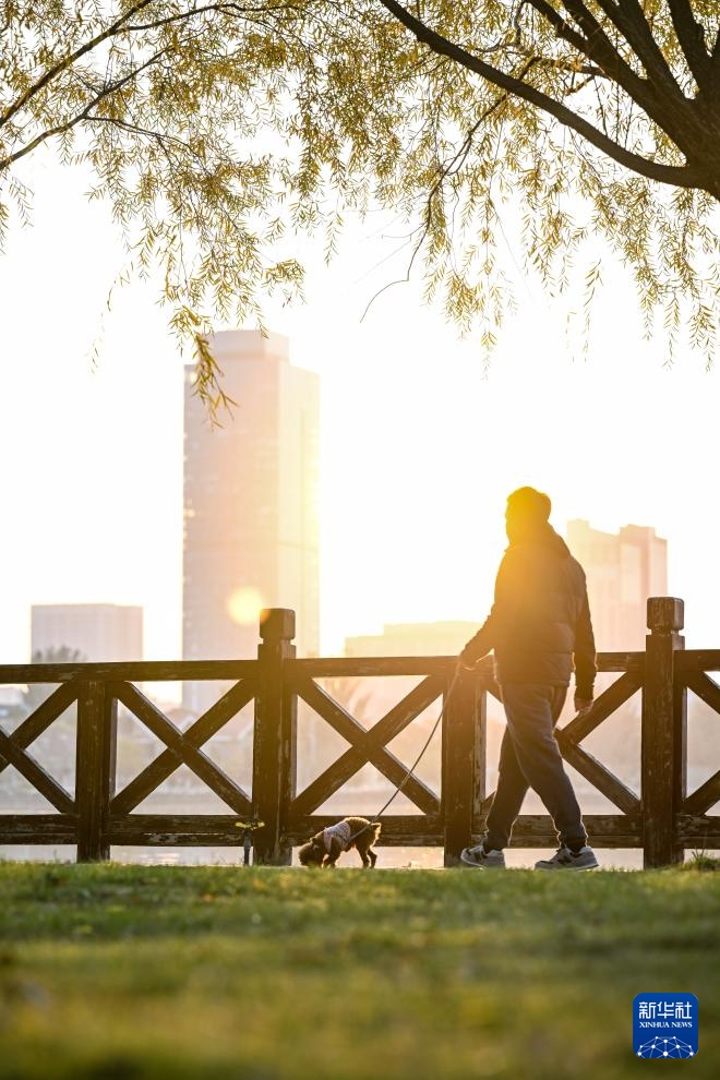 美丽中国丨塞上湖城秋意浓 美丽中国丨塞上湖城秋意浓
