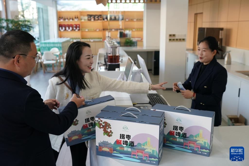 拐枣之乡迎来收获季