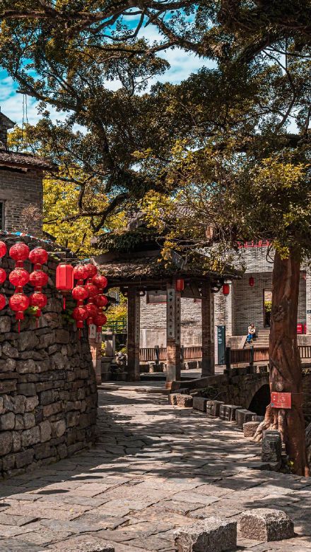 赴一场秋日里的温情之约 赴一场秋日里的温情之约