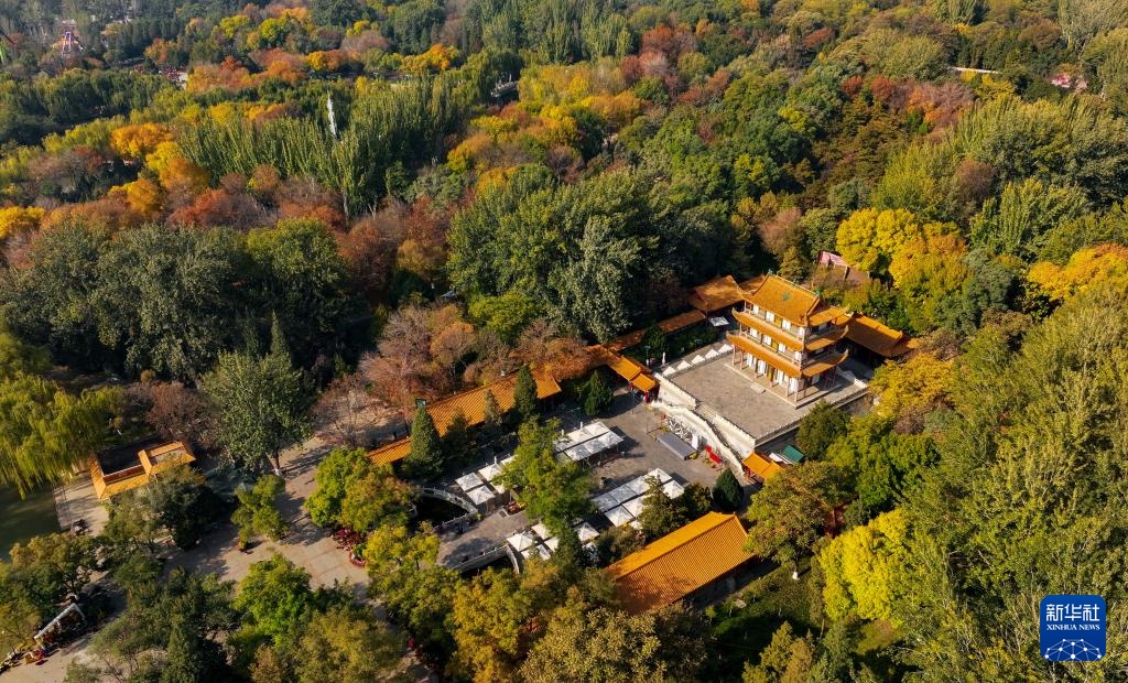 美丽中国丨塞上湖城秋意浓 美丽中国丨塞上湖城秋意浓