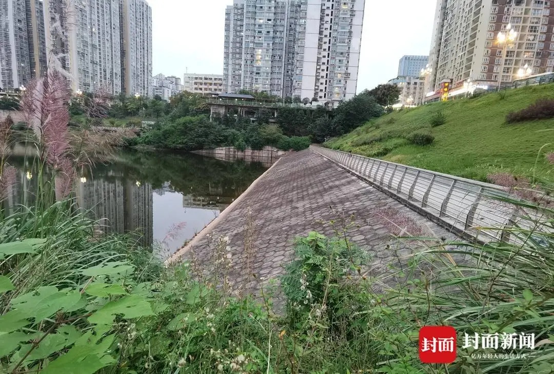 听见有人喊“救命”，他冲向现场！消防员苟俊不幸去世，年仅34岁