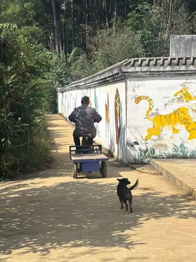 贵州凯里山上的一座动物园走红：一天卖以往四个月的票，70岁守园人用退休金补贴动物