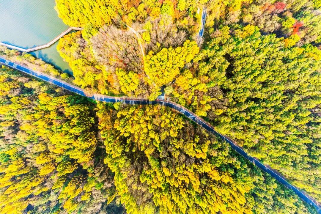 重阳节，净月潭免票！