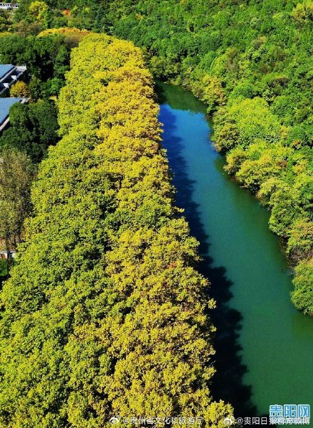 快看，贵阳黄金大道披金甲啦