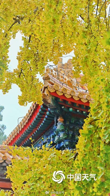 绝美！打卡中山公园秋日视觉盛宴