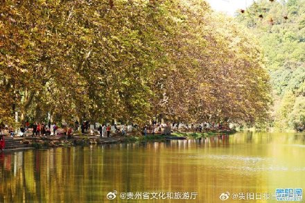 快看，贵阳黄金大道披金甲啦