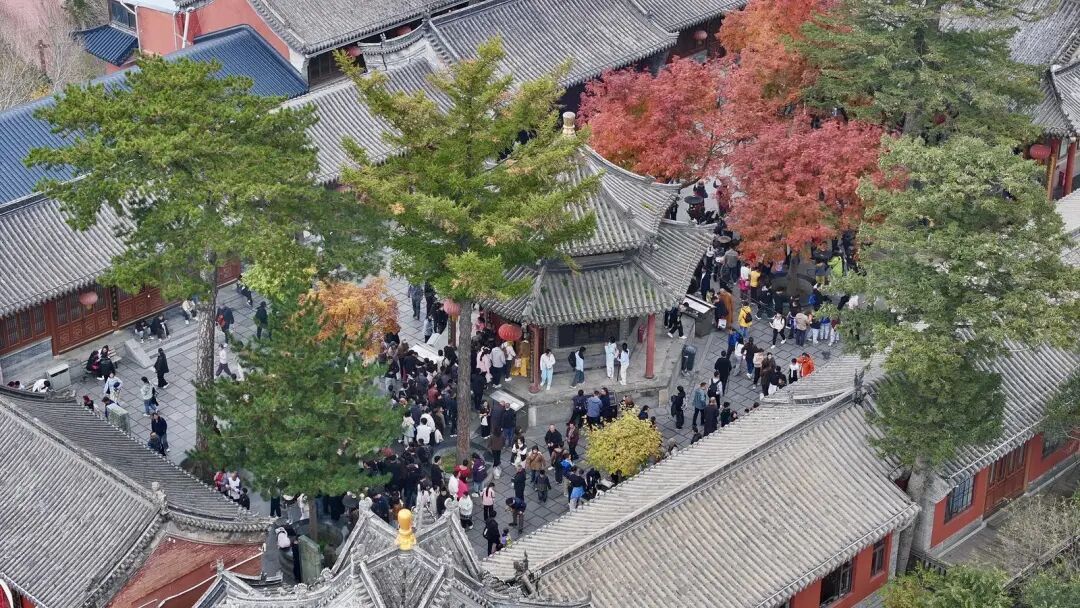 五台山的秋天，太治愈了！