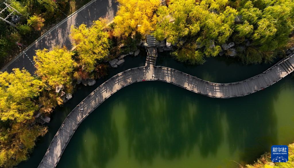 美丽中国丨塞上湖城秋意浓 美丽中国丨塞上湖城秋意浓