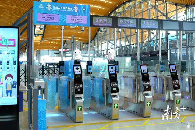 香港入境处：设16条全运会专属通道，运动员全程“刷脸”7秒通关