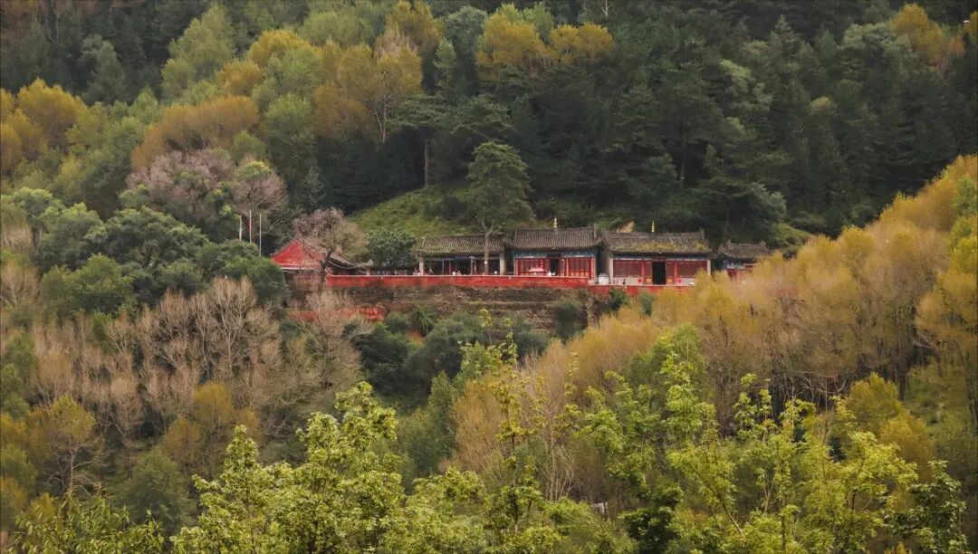 五台山的秋天，太治愈了！