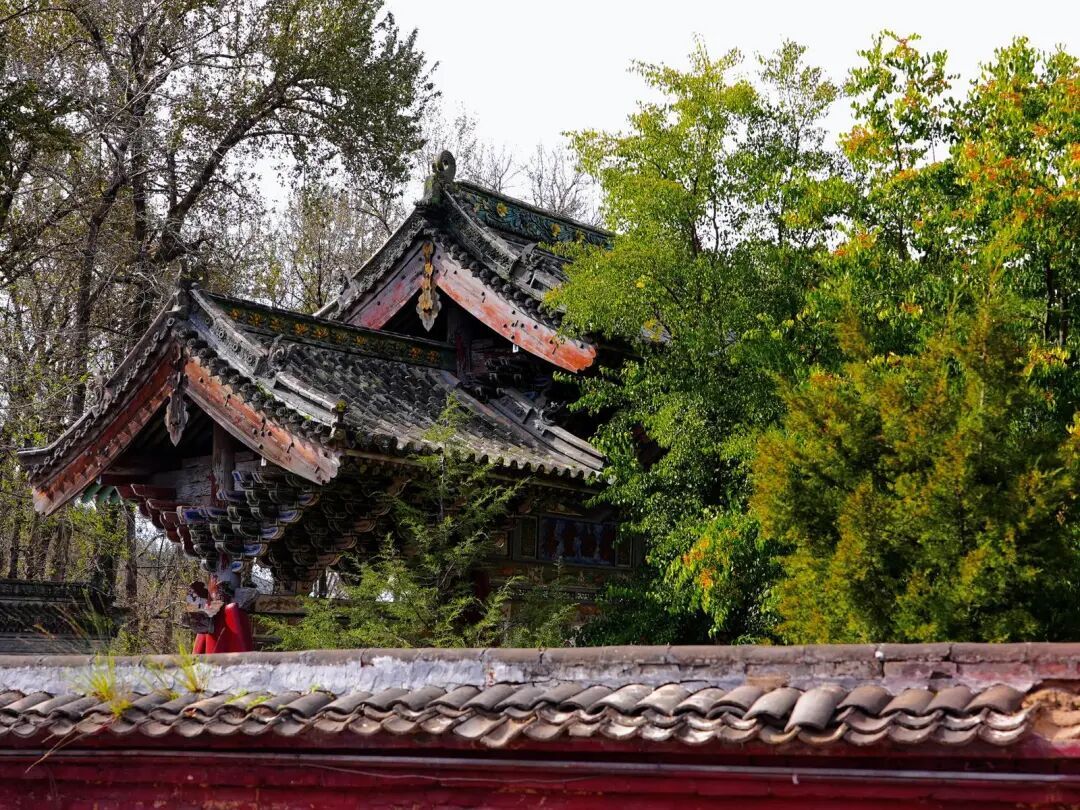 五台山的秋天，太治愈了！