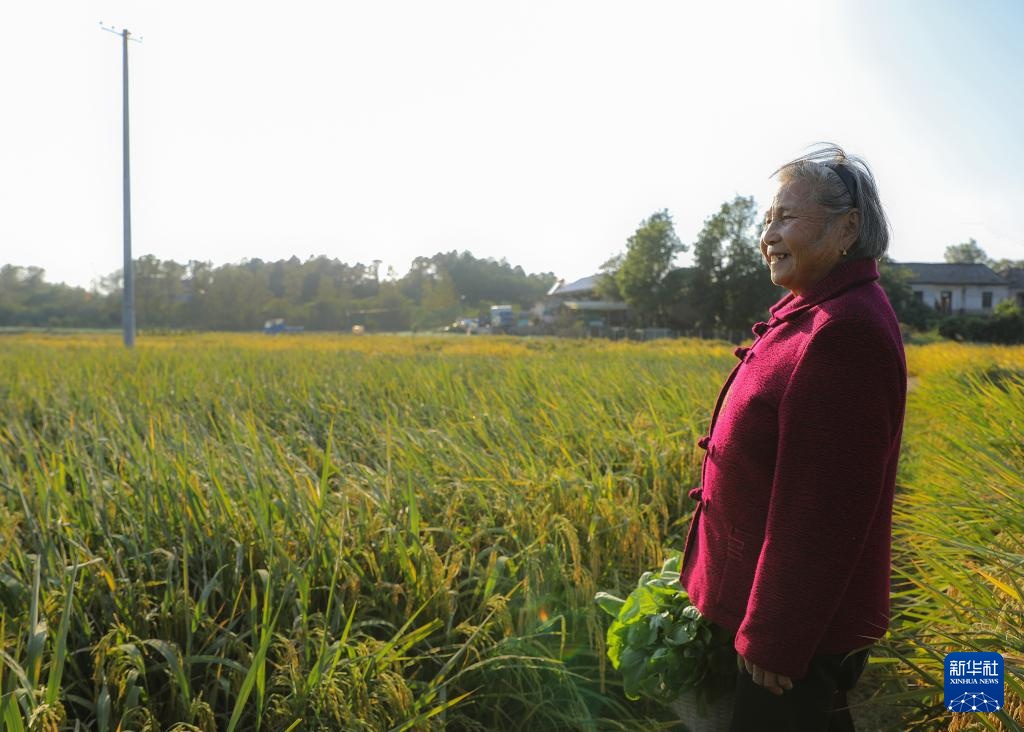 新职业故事丨飞无人机 直播带货 82岁奶奶成了“新农人” 新职业故事丨飞无人机 直播带货 82岁奶奶成了“新农人”