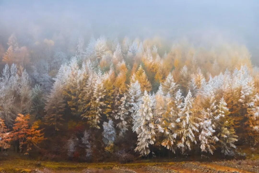 五台山的秋天，太治愈了！