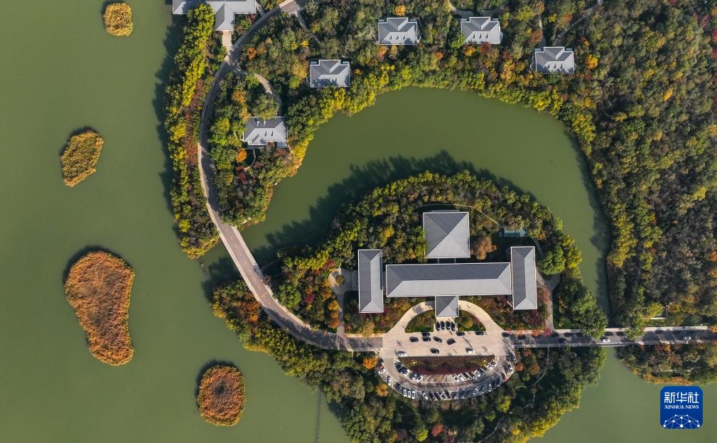 美丽中国丨塞上湖城秋意浓 美丽中国丨塞上湖城秋意浓