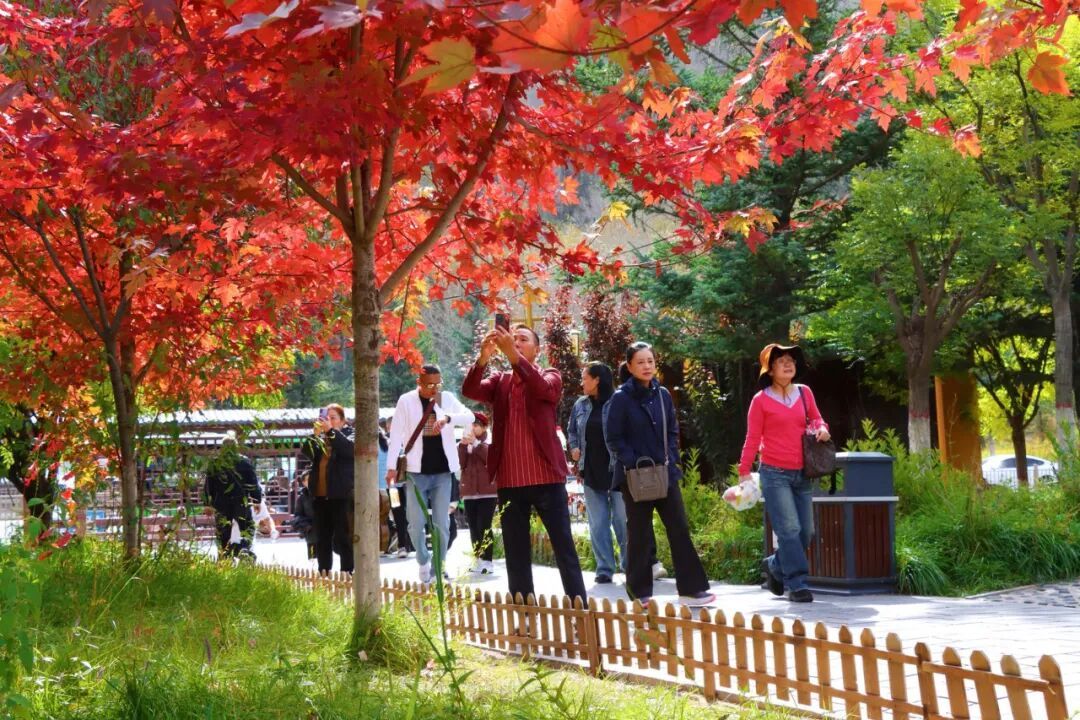 五台山的秋天，太治愈了！