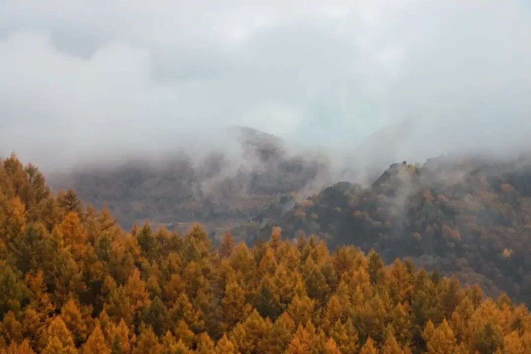 五台山的秋天，太治愈了！