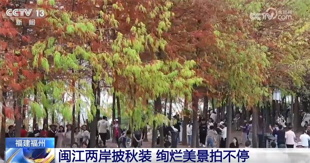 多场景联动打造“赏秋游”沉浸式新体验 “秋日经济”带火文旅消费新实践