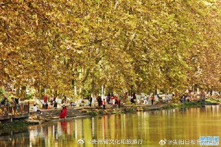 快看，贵阳黄金大道披金甲啦