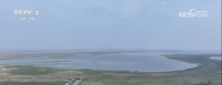 秋日湿地尽显勃勃生机 候鸟蹁跹绘就大美中国生态图景