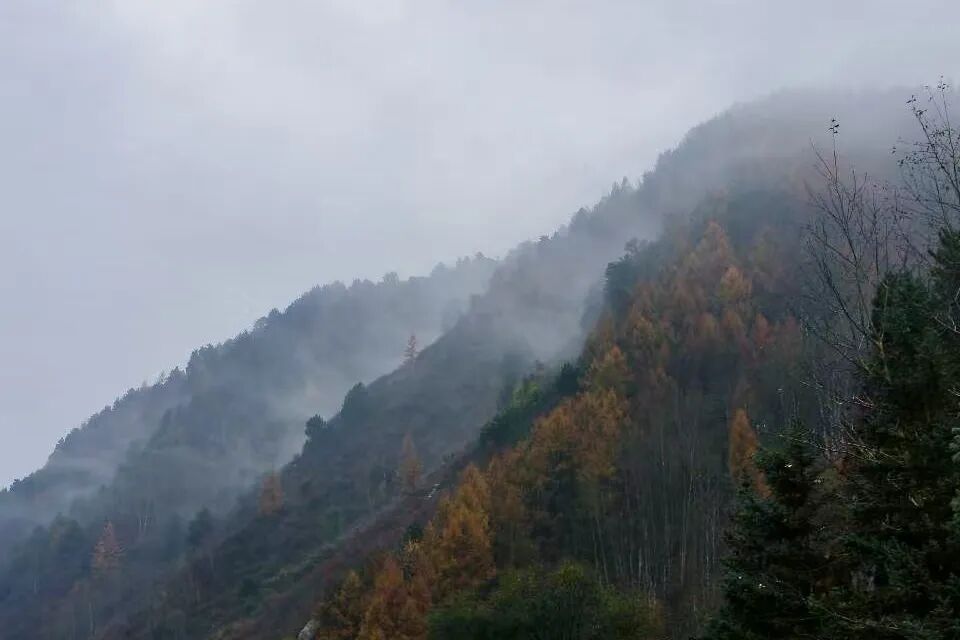 五台山的秋天，太治愈了！
