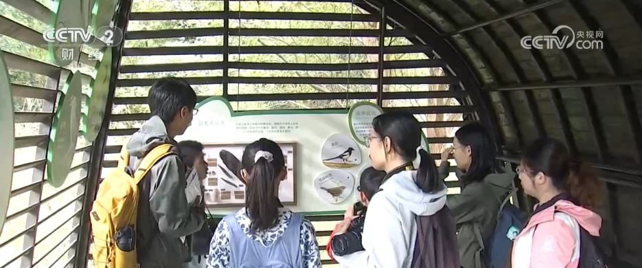 秋日湿地尽显勃勃生机 候鸟蹁跹绘就大美中国生态图景