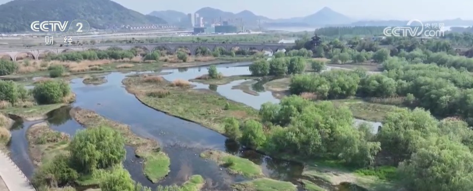 秋日湿地尽显勃勃生机 候鸟蹁跹绘就大美中国生态图景