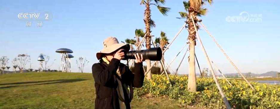 秋日湿地尽显勃勃生机 候鸟蹁跹绘就大美中国生态图景